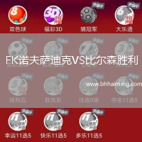 FK諾夫薩迪克VS比爾森勝利