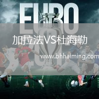 加拉法VS杜海勒