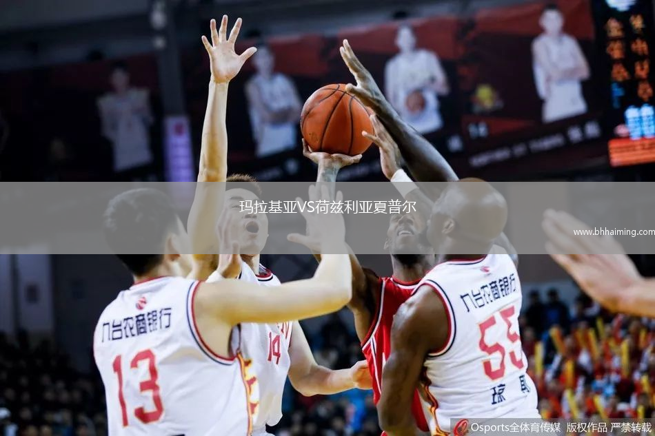 瑪拉基亞VS荷茲利亞夏普爾