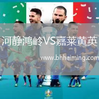 河靜鴻嶺VS嘉萊黃英