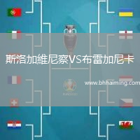 斯洛加維尼察VS布雷加尼卡