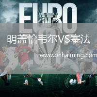 明蓋恰韋爾VS塞法