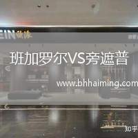 班加羅爾VS旁遮普