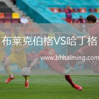 布萊克伯格VS哈丁格