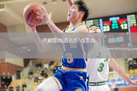 弗勒里梅洛吉斯VS索肖