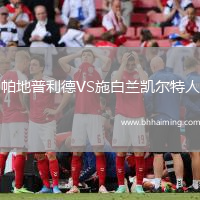 帕地普利德VS施白蘭凱爾特人