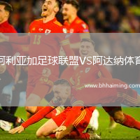 阿利亞加足球聯(lián)盟VS阿達納體育