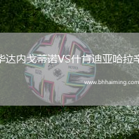 華達內(nèi)戈蒂諾VS什肯迪亞哈拉辛