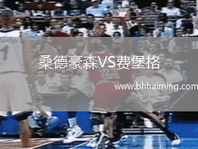 桑德豪森VS費堡格