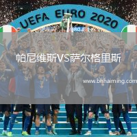 帕尼維斯VS薩爾格里斯