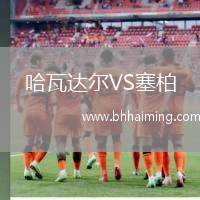 哈瓦達(dá)爾VS塞柏