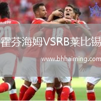 霍芬海姆VSRB萊比錫