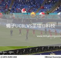 蝎子UCBLVS圣塔菲科技