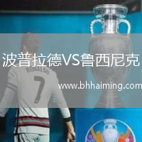 波普拉德VS魯西尼克