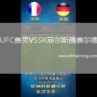 UFC費(fèi)靈VSSK菲爾斯騰費(fèi)爾德