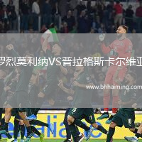 羅烈莫利納VS普拉格斯卡爾維亞