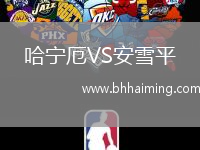 哈寧厄VS安雪平
