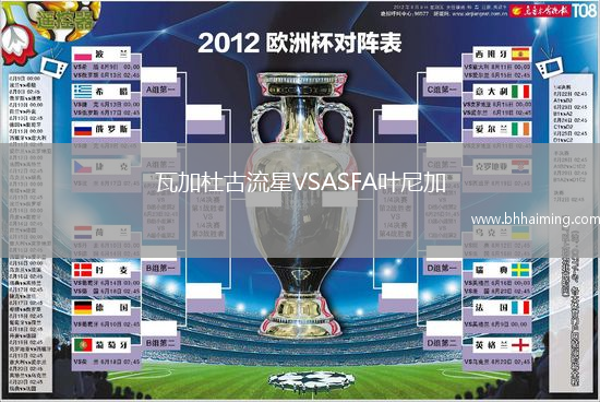 瓦加杜古流星VSASFA葉尼加