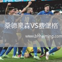 桑德豪森VS費(fèi)堡格