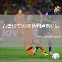 布雷根茨VS奧地利盧斯特瑙